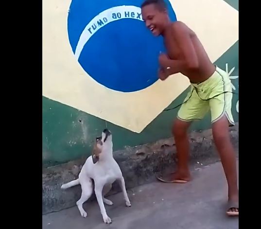 So You Think You Can Dance? So Can This Dog!