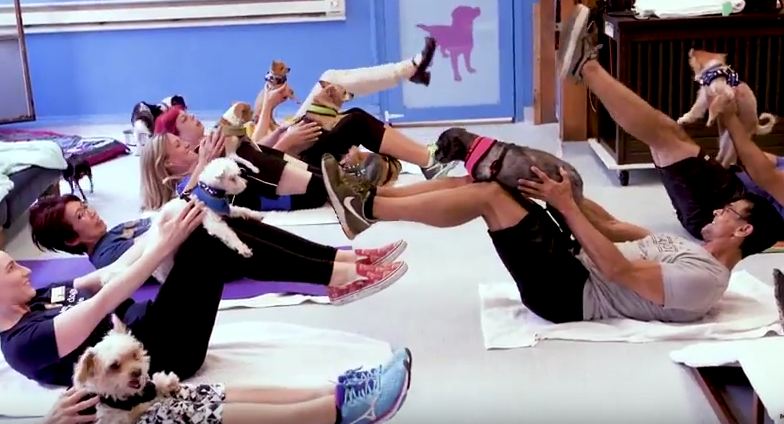 Could “Muttsercise” Be The Next Hot Trend In Fitness…?
