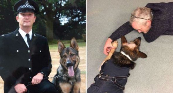 Guide Dog Pup Named For Hero Police Dog Who’s Now Enjoying Retired Life