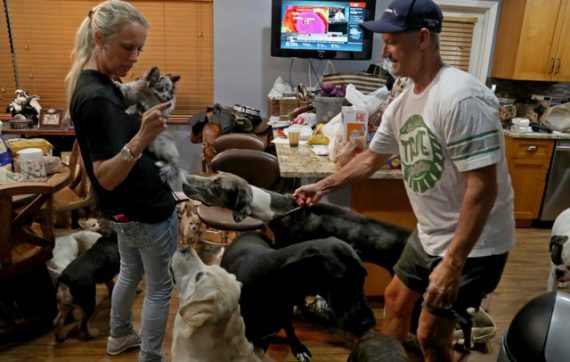 Kind Couple Takes In 46 Pets To Help Families Struggling With Hurricane Irma