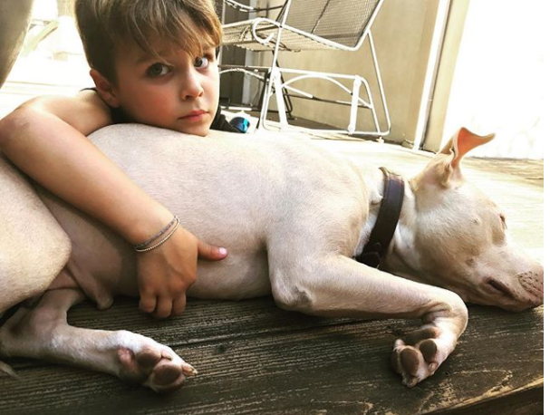 Selma Blair has adopted a wonderful pit bull