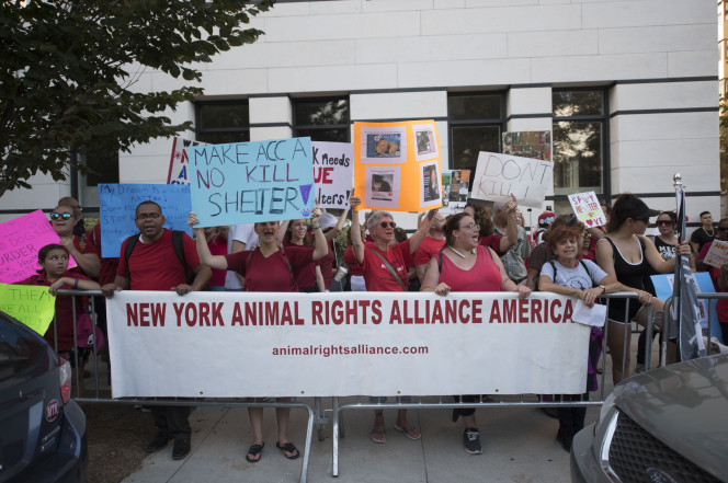 Guardian Angels and animal rights activist march against NYC euthanasia policy