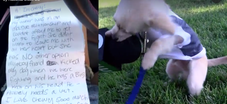New life awaits puppy who was abandoned with note in airport