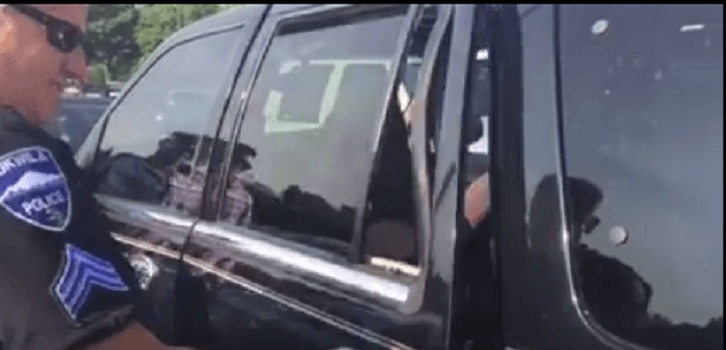 Police bust out window to save small dog in baking hot car