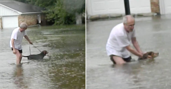 Elderly Houston Man Wades Through Floodwaters After Spotting Stranded Dog