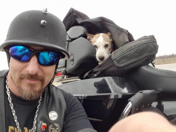 Biker Sees A Dog Being Abused On The Side Of The Road And Immediately Pulls Over