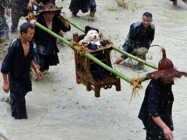 Annual China village ‘Dog Carrying Day’ worships a pup as a god