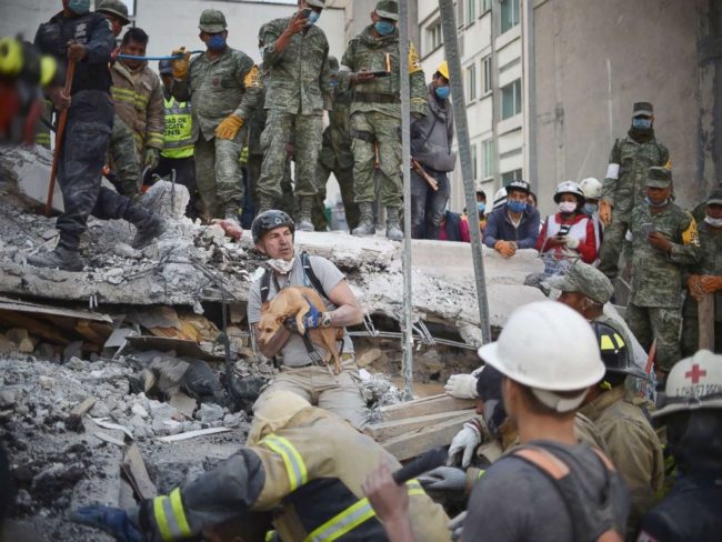 Dog trapped in Mexico City earthquake pulled to safety scared but unhurt