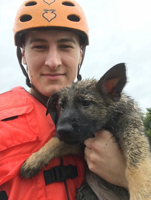 Soldier Shares Photos Of Pets From Flood After He Feels Devastated By The Lives He Couldn’t Save