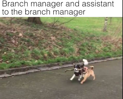 We’d Like To Speak To The Branch Manager, Please