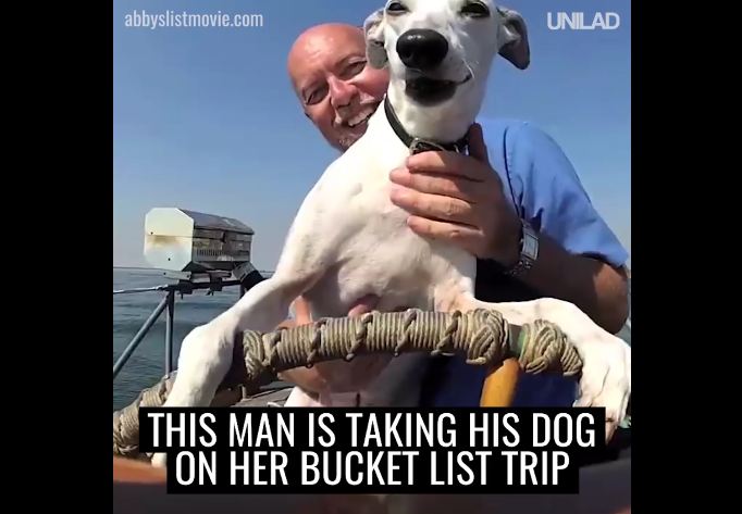 This Man Is Taking His Dog On A Bucket List Road Trip!