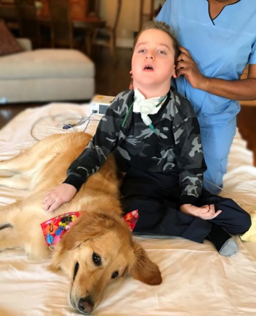 Rescue Dog Becomes The First Friend Of A Boy With Special Needs