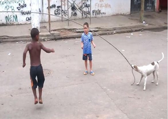 Dog Plays Jump Rope with Kids