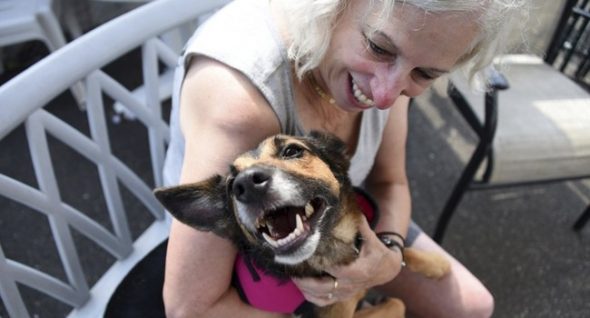 Reunited: Florida Dog Missing Nearly Two Years Turns Up On Long Island!