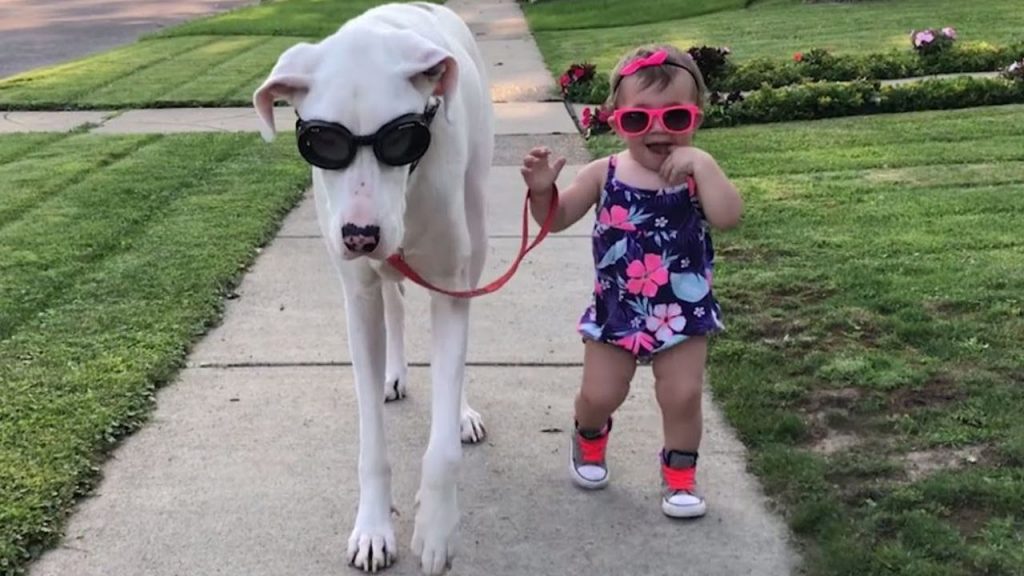 A Little Girl And Her Disabled Dog Share A Bond That’s Being Recognized Worldwide