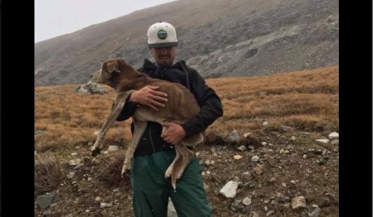 Hikers Rescue Dog Trapped Atop Colorado Mountain for Six Weeks