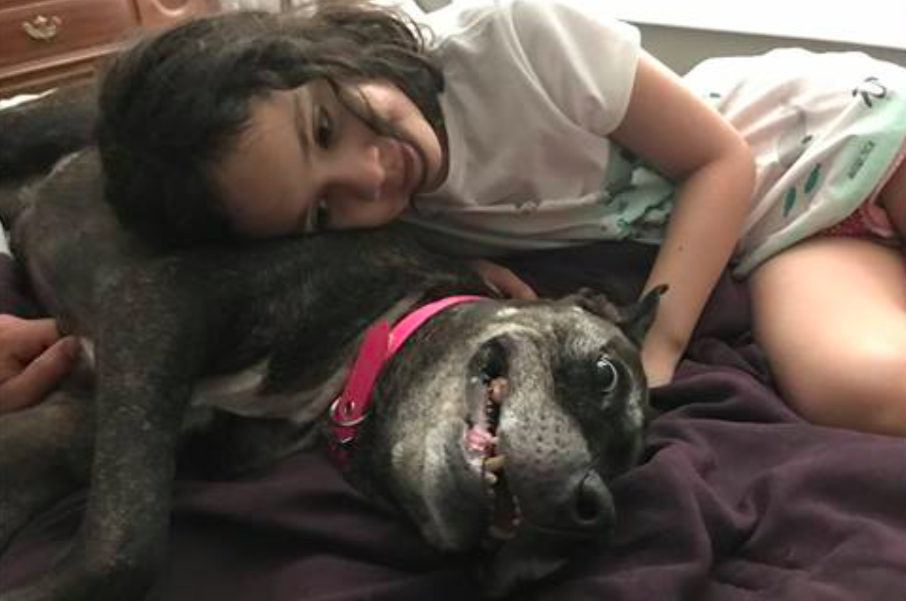 Family Who Adopted 11-Year-Old Dying Dog Is Showering Her With Unconditional Love In Her Final Days
