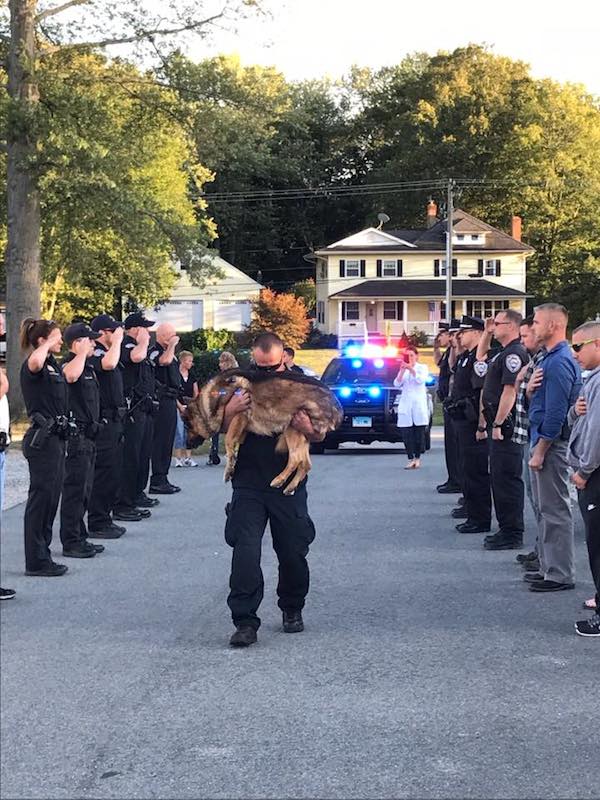 Beloved Police Dog Saluted For His 10 Years Of Dedicated Service Before Saying Goodbye