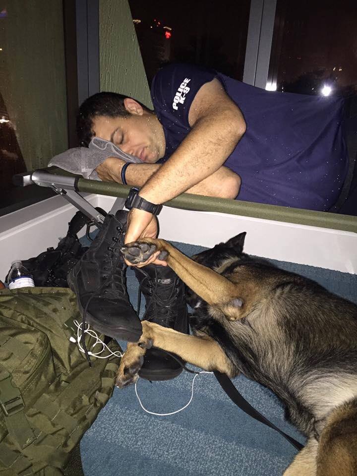 Fort Lauderdale Police Tweet touching photo of K9