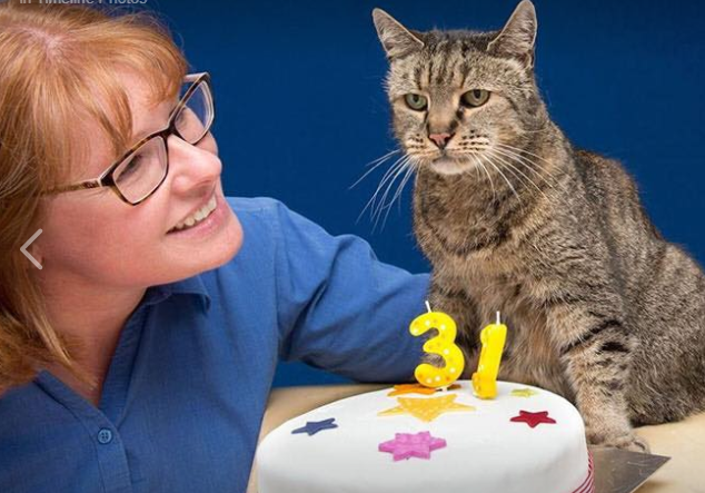 World’s oldest cat has died