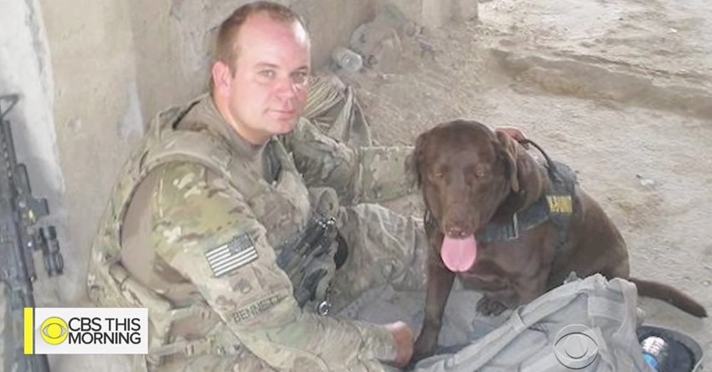Five Brave Military Dogs Just Got The Recognition They Deserve