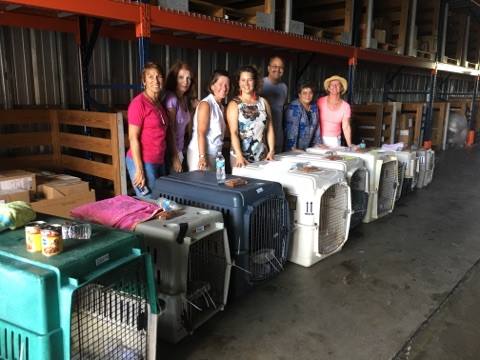 Woman Chartered A Plane, Flew Over 300 Pets To Safety From Hurricane Maria