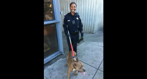 Dog Who Caused Major Train Delays in San Francisco Now Up For Adoption!