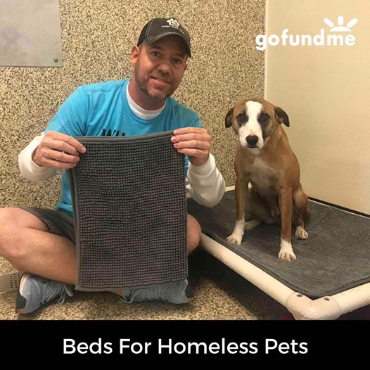 Volunteer Thinks Up Genius Plan To Ensure Every Shelter Pet Has A Bed