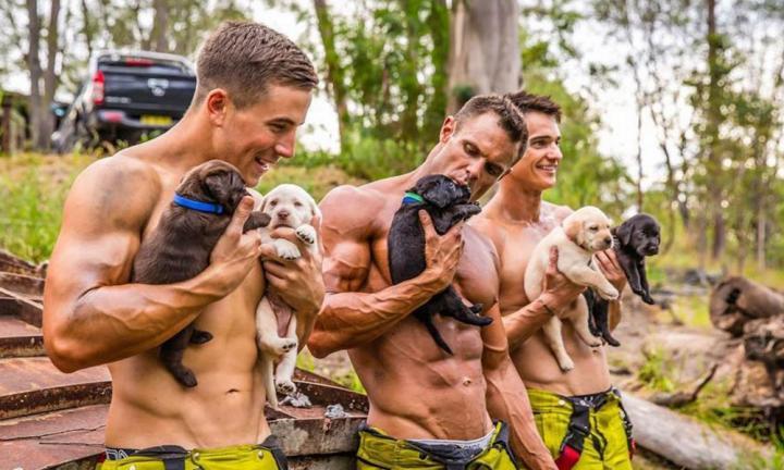 Aussie Firefighters Pose With Puppies For Several Great Causes