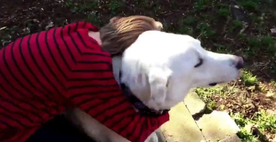 Boy And Dog See Each Other After Year Apart, Both Start Crying Instantly