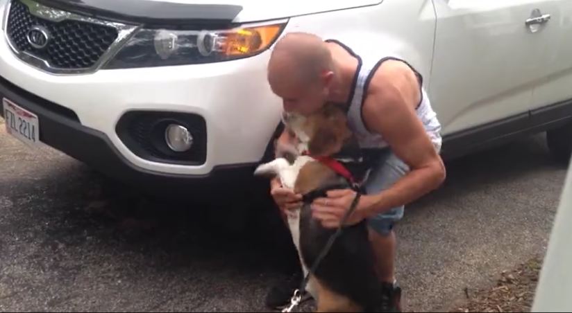 Heartwarming Compilation Of Dogs Reuniting With Their Owners