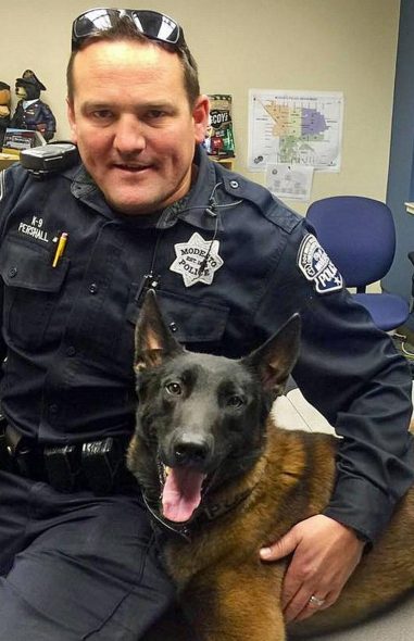 Police Chief Hopes To Give K-9 To Deceased Officer’s Family