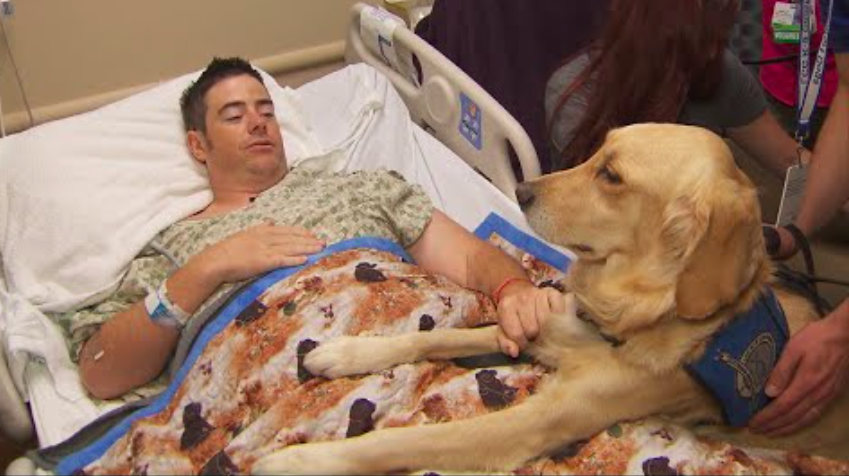 Therapy Dogs Help Bring Comfort And Smiles To Survivors Of Las Vegas Shooting And Their Community