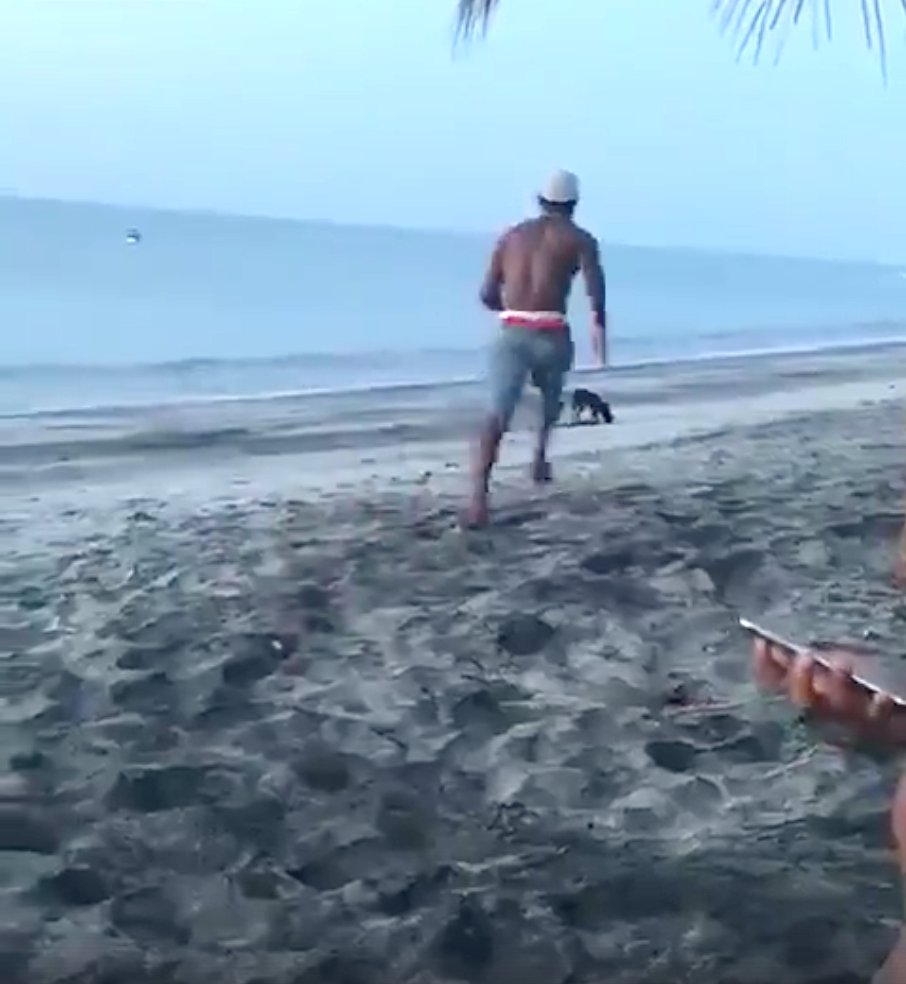 Man Tries To Kick A Stray Dog On The Beach, Instead Gets A Dose Of Instant Karma