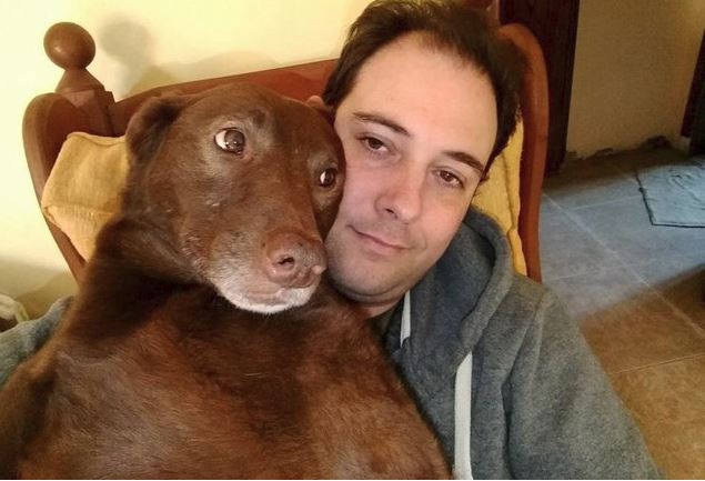 Lost Dog’s In Disbelief When She Sees Her Owner — Then She Smells Him