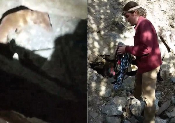 Hikers Save Dog They Find Trapped At Bottom Of Mine Shaft