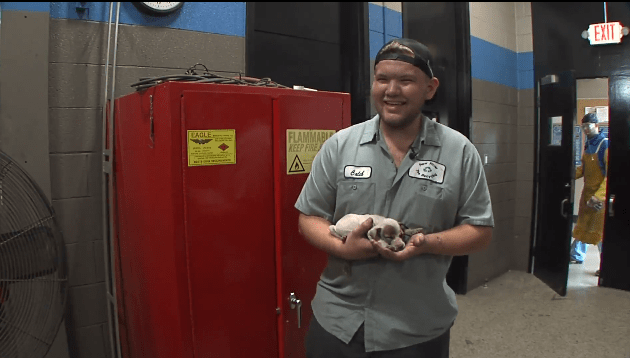 Heroes rescue tiny puppy who was stuck in a car engine