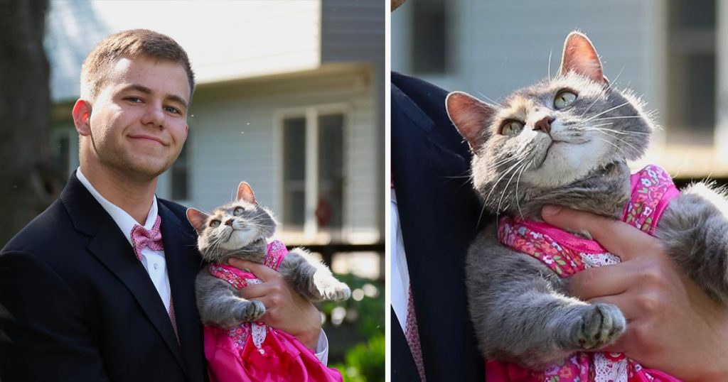 Teen Can’t Find A Date To Prom So Takes His Cat Instead. He Doesn’t Expect Her To Fall For Him