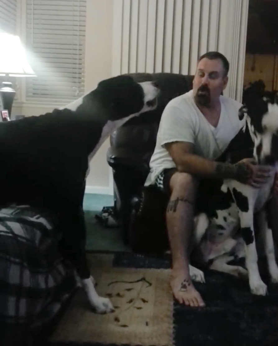 Dad And Dog Engage In Hilarious Back-And-Forth Over Belly Rubs