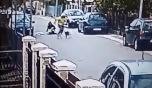 Street Dog Saves Woman From Being