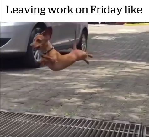 Leaving Work On Friday Like…!