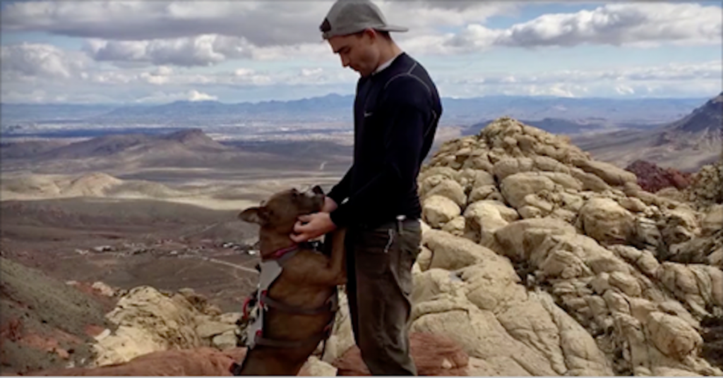 After 6 Months Of No Eye Contact, Dad Figures Out Adopted Dog’s True Passion