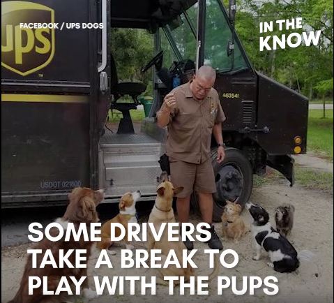 Boxes & Biscuits! UPS Dogs Features Drivers Who Love The Dogs On Their Routes
