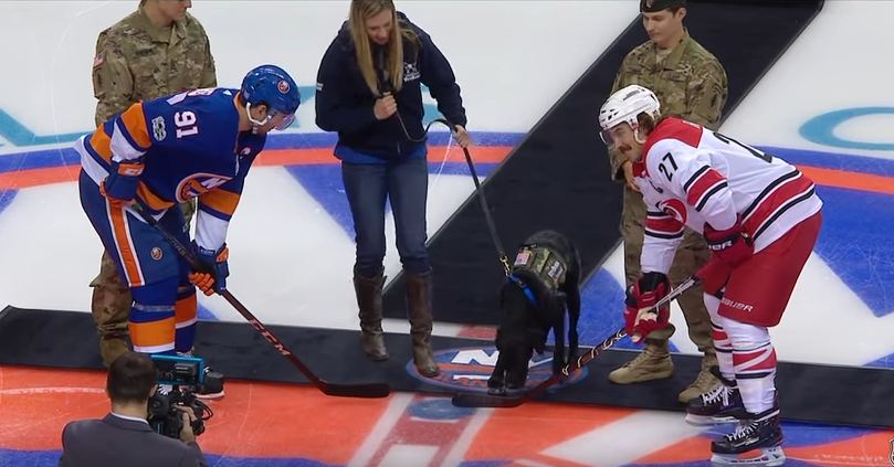 A Super Adorable Lab Dropped The First Puck At Last Night’s Islanders Game