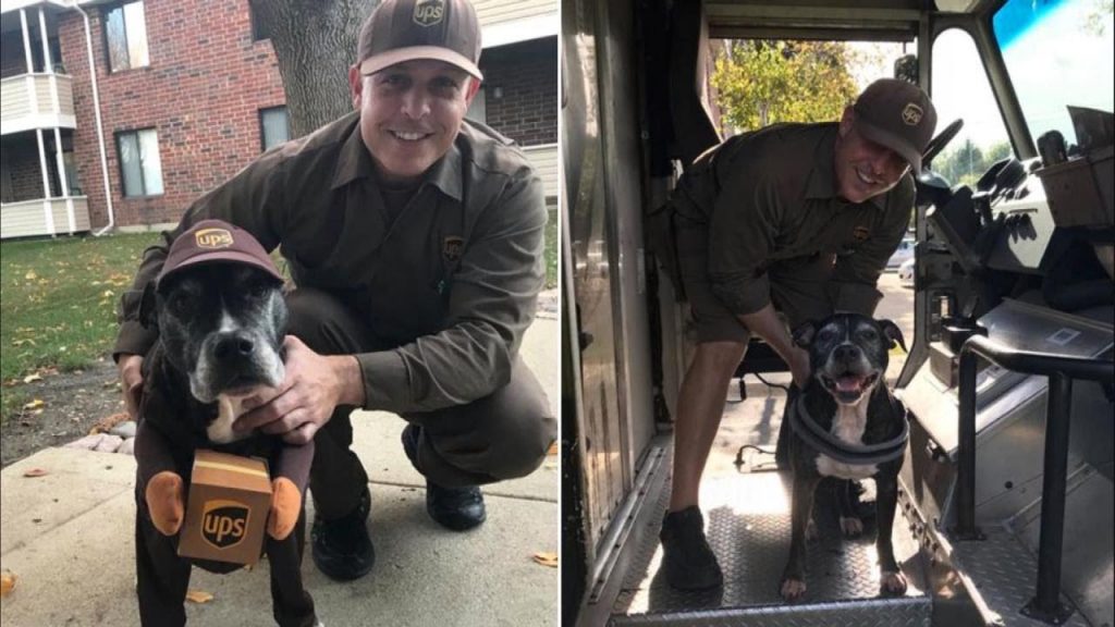 Dog Surprises Her Favorite UPS Driver By Dressing Like Him For Halloween