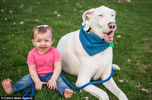 Deaf And Blind Dog Was Going To Be Euthanized, But This Family Knew Her True Worth