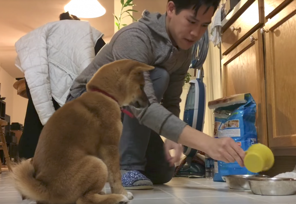 Dog Has Minor Freakout Every Time Dad Pours The Dog Food