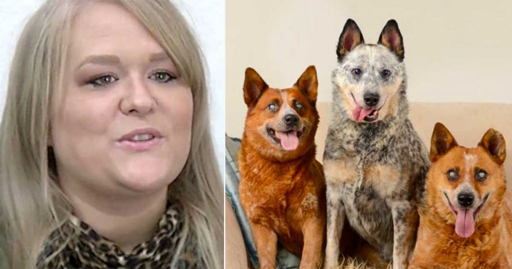 Woman Sees Least Adoptable Dog Family At Shelter, Knows She Has To Take Them Home
