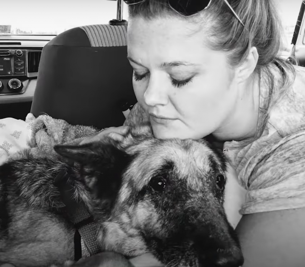 Former Police Dog Was Surrendered To Kill Shelter, But Then The Perfect Family Came Along