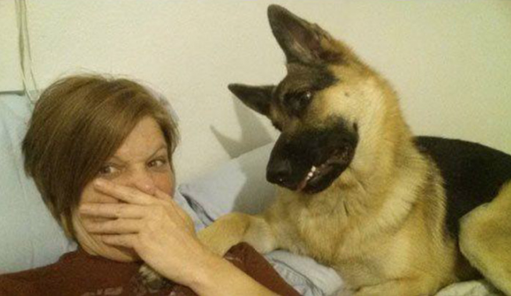 Mom Accuses Dog Of Farting During Selfie, Captures His Defense In The Following Frames